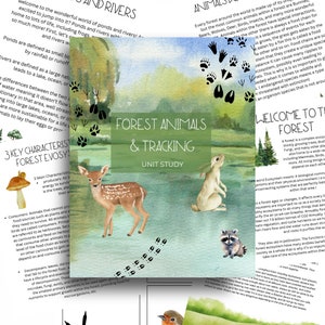 Unité d'étude sur les animaux forestiers et les traces d'animaux | Éducatif | École à la maison | Étude de la nature | Extérieur | Montessori | Accès instantané | Étude forestière |