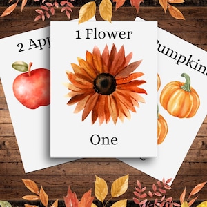 Può includere: Tre carte stampabili con illustrazioni ad acquerello di una mela, un girasole e una zucca. Le carte sono etichettate con il numero di elementi e la parola "Uno".