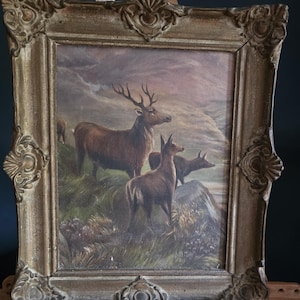 Original oil on board of a Stag and deer&#39;s in a Glen.