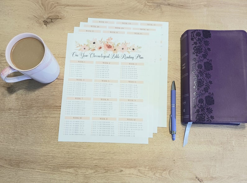 Chronological Bible Reading Plan Printable Bible Tracker One Year Bible ...