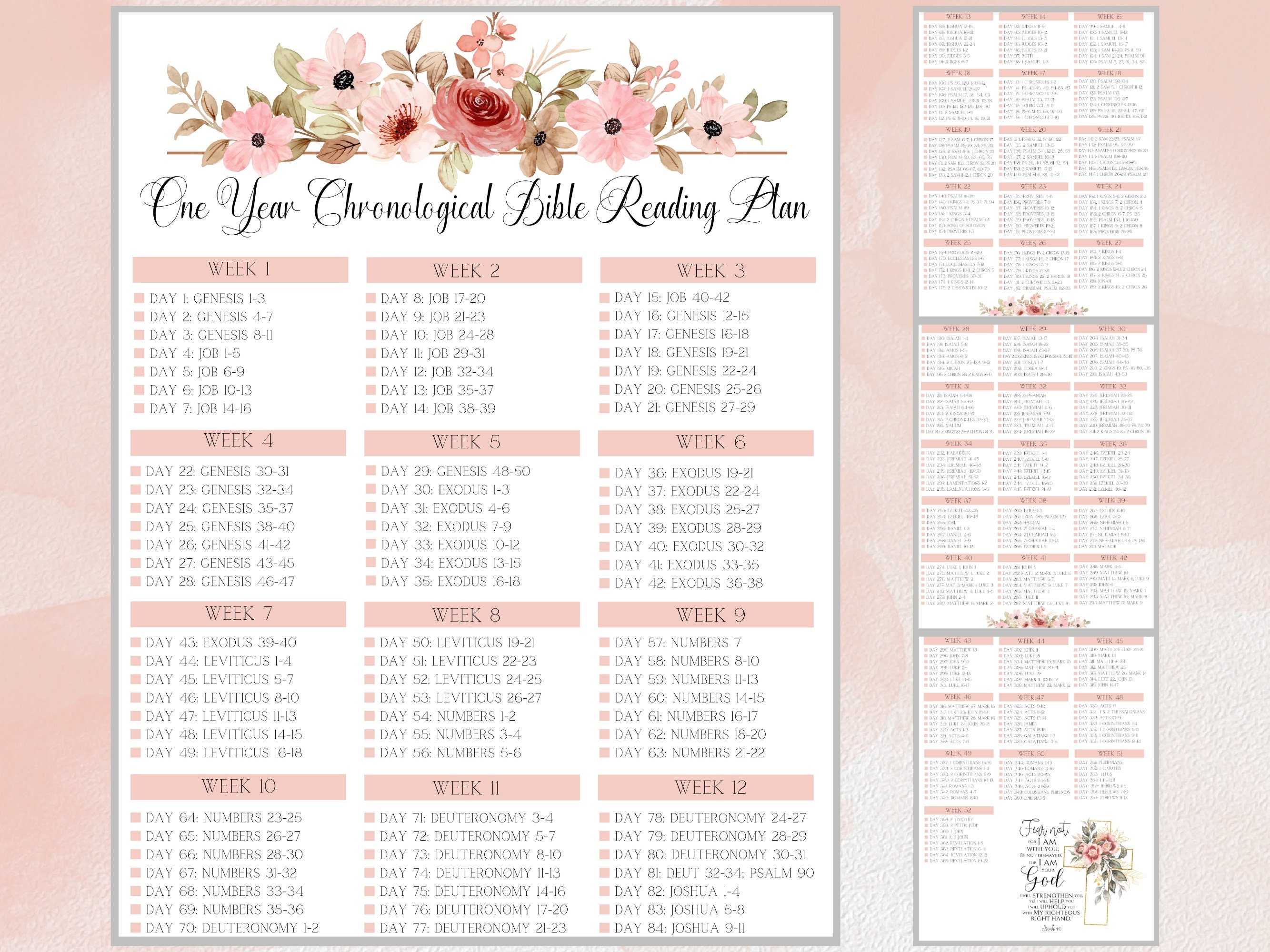 Chronological Bible Reading Plan Printable Bible Tracker One Year Bible ...