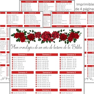 Plan Bíblico Español Cronológico Un año Plan cronológico de lectura de la Biblia de un año Lista de verificación de la Biblia en español Rastreador de la Biblia imprimible Floral
