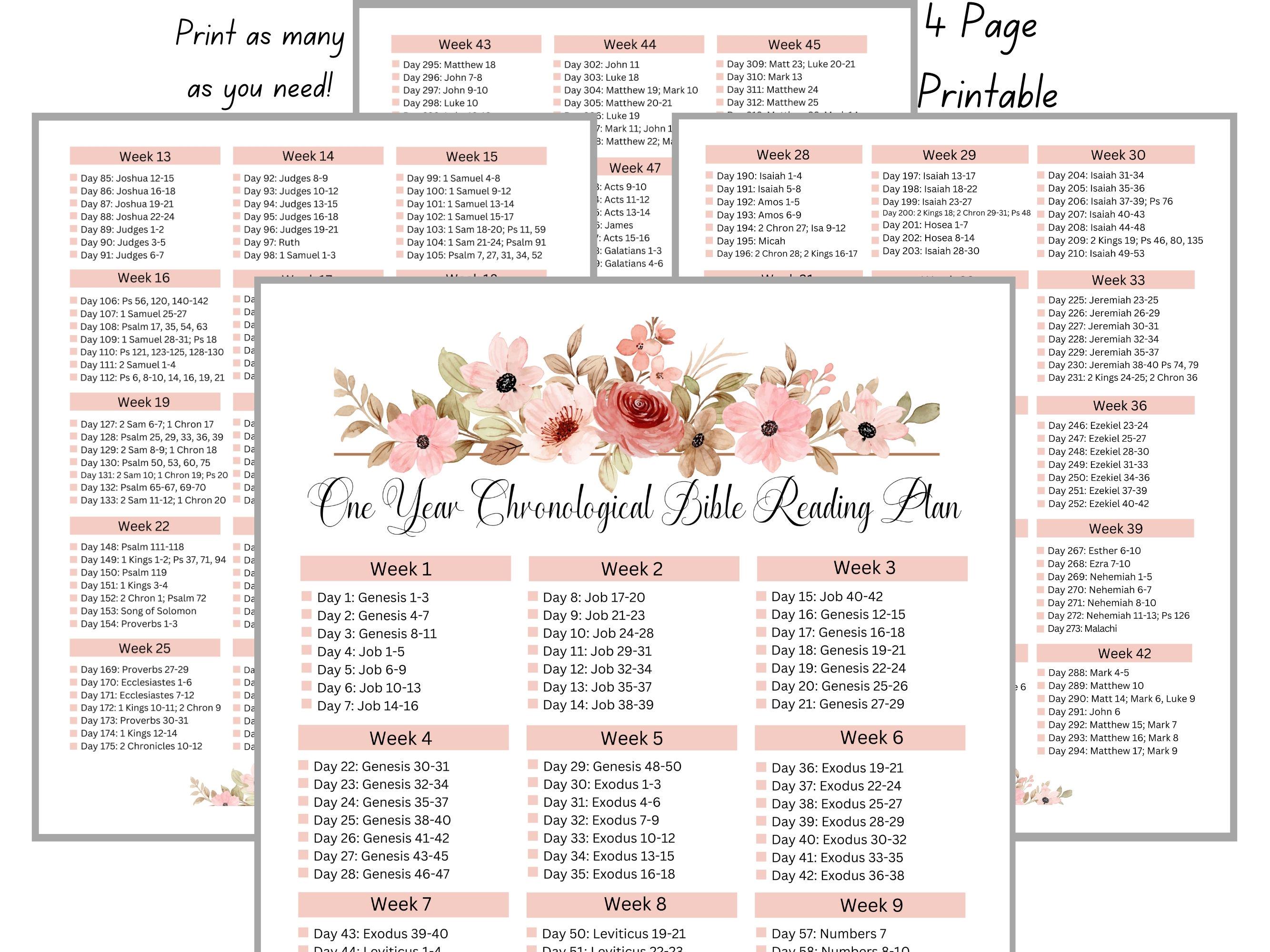 Chronological Bible Reading Plan Printable Bible Tracker One Year Bible ...