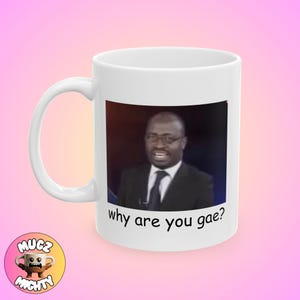 Why Are You Gay Meme Mug Funny Trend Silly Modern Gift Self Aware Coffee Quirky Custom Minimal Art Unique Home Decor Personalized