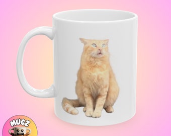 Rolig kattmugg, kattmeme-mugg, mememugg, rolig mugg, udda mugg, elak mugg, fånig mugg, modern mugg, presentidé, kaffeälskare