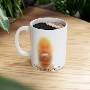 Taza con el meme de Lebron Sunshine, eres mi meme de Sunshine, taza divertida, taza peculiar, taza tonta, taza contemporánea, idea de regalo, autoconsciente, amante del café imagen 3