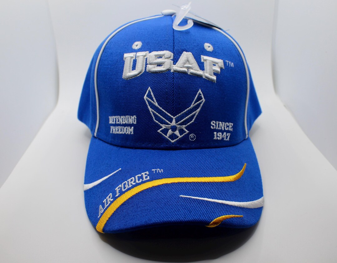 U.S.A.F. ロゴ刺繍 キャップ　世田谷ベース　エアフォースブルー U.S Air Force Light Blue Hat. Air Force Logo Cap. USAF Defending