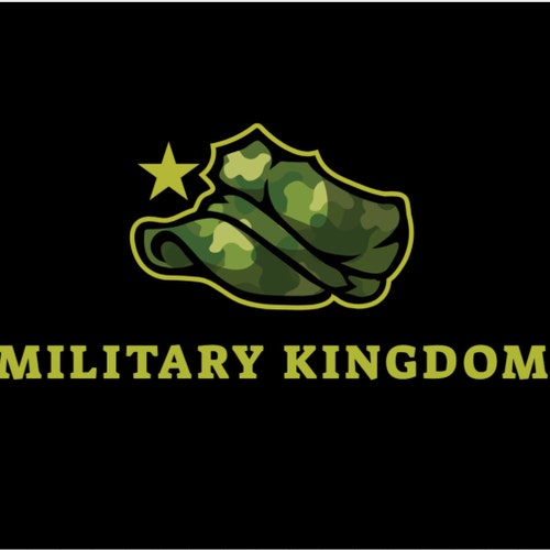 海軍250周年記念帽子。アメリカ海軍1775-2025記念帽子。アメリカ海軍