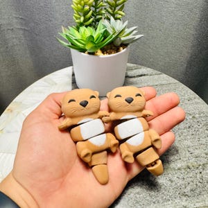 Articulated Animal Otters Toy For Kid Birthday Gift For Otter Lover Holding Hands Otter | 3D Printed | Magnetic