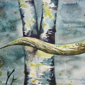 May include: Watercolor painting of birch trees and a branch. The artwork features a close-up view of the tree trunks with their characteristic white bark and dark markings. A curved branch extends across the image, with autumn leaves on the right.