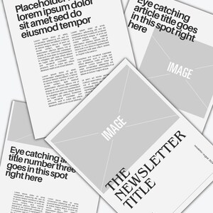 Editable Newsletter Template, Editable Newsletter Template, Business Newsletter, Teacher Newsletter, Canva, Newsletter Flyer, Monthly Flyer