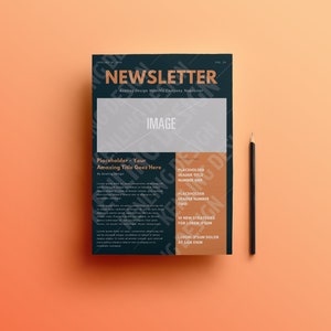Editable Newsletter Template, Editable Newsletter Template, Business Newsletter, Teacher Newsletter, Meeting Newsletter, Canva, Flyer