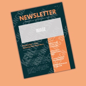Editable Newsletter Template, Editable Newsletter Template, Business Newsletter, Teacher Newsletter, Canva, Newsletter Flyer, Monthly Flyer