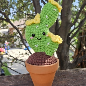May include: A handmade, crocheted cactus in a small terracotta pot. The cactus is green with yellow accents and a smiling face. The pot is brown and sits on a wooden surface, with a blurred background of trees.