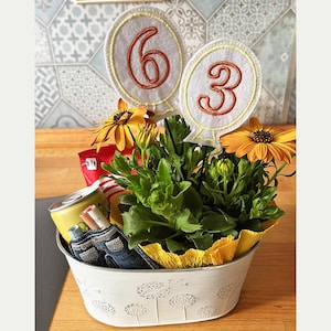 Puede incluir: Una maceta de metal blanca con un patrón de diente de león, llena de plantas verdes y flores. Dos círculos de fieltro blanco con los números 6 y 3 bordados en naranja están unidos a las plantas.