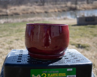 Red pot for Flowers!