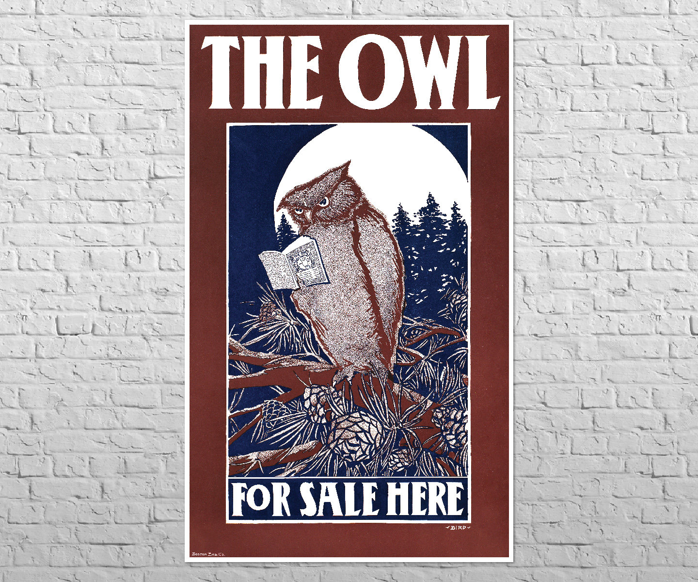 Poster The Owl 1900s | 15x24" Mid size | Old advertising, Library wall art