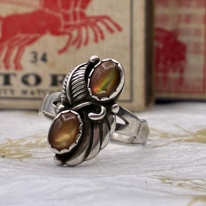 May include: A silver ring featuring two oval-shaped, iridescent brown stones set within a metal frame decorated with leaf-like engravings. The band is polished silver, and the stones display a subtle play of color with hints of green and orange.