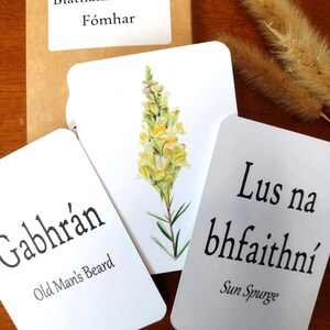 May include: A set of white cards with botanical illustrations and text in a foreign language. One card features a yellow and green flower. The text "Old Man's Beard" is visible. A brown box with text is in the background.