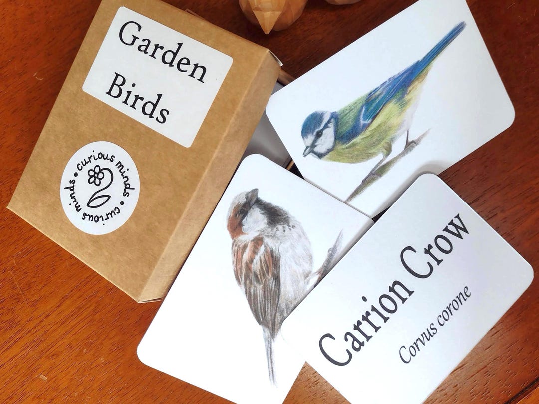 British Garden Birds Flashcards: Irish Garden Bird Identification Cards ...