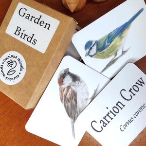 Gartenvogel Bildkarten, Gartenvögel Bildkarten, Britische Gartenvögel Naturkarten, Waldschulressource, Naturkarten, Lernkarten