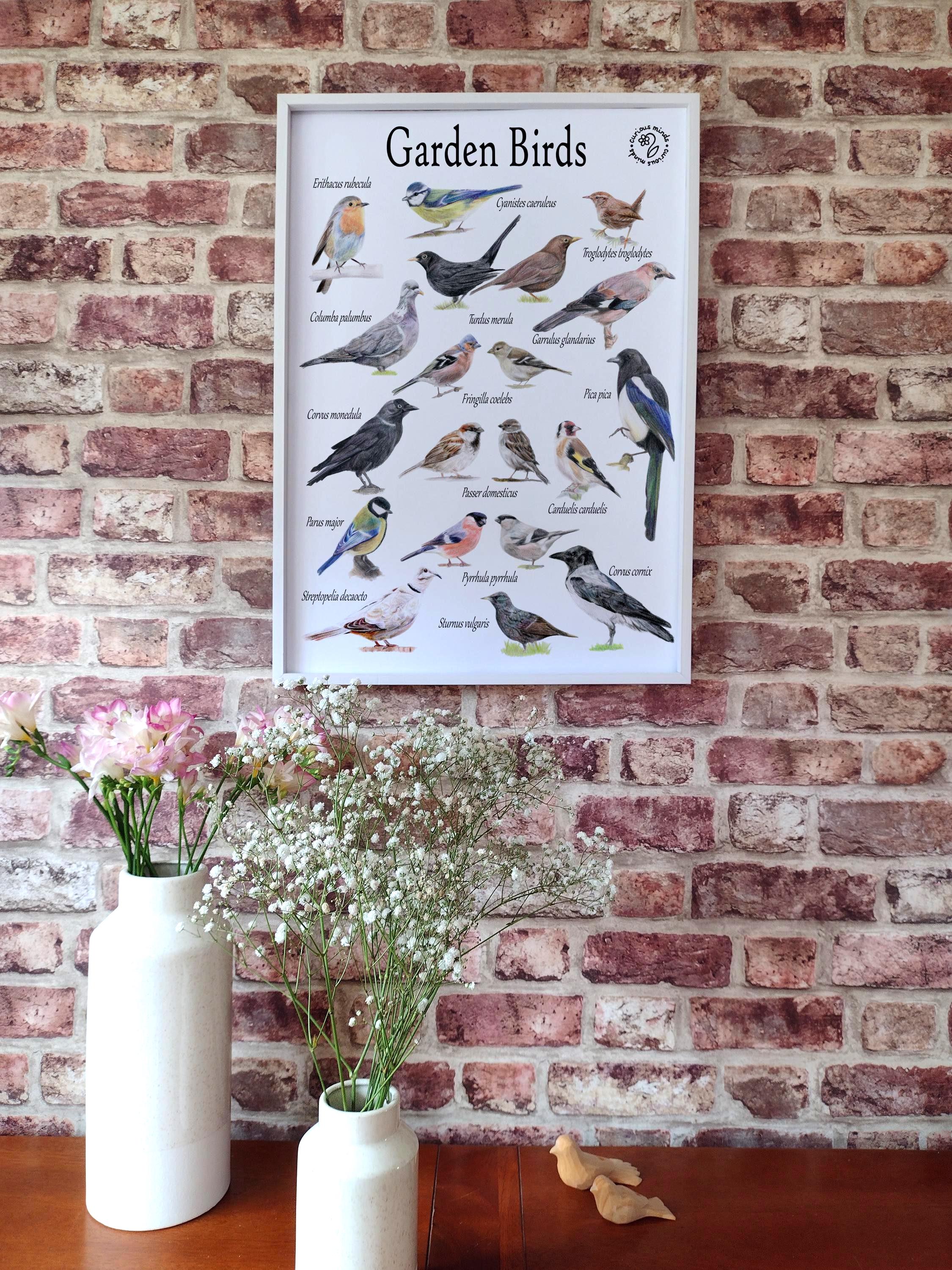 Tanyang Garden Birds Print Poster Birds Identification Chart Wildlife Canvas Painting Wall Art Decor For Living Room 21X30Cm Senza Telaio