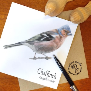 Tuinvogelkaart, vogelkaart, vinkwenskaart, milieuvriendelijke kaart, natuurliefhebberkaart, vogelaarkaart, tuinvogels VK, vogelkunst