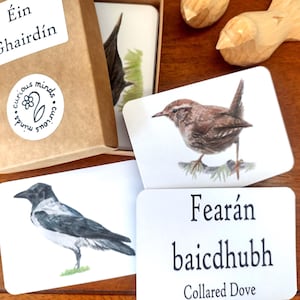 May include: A set of bird-themed flashcards with illustrations of a crow and a wren, along with a box labeled "Éin Ghairdín". The box has a "curious minds" sticker. Two wooden bird figurines are also present.