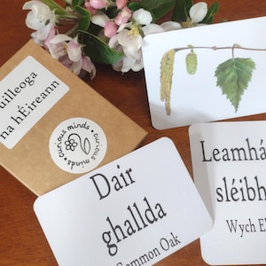 Flashcards de Gaeilge, Cartões de Língua Irlandesa, Flashcards de Árvores, Identificação de Folhas, Recursos para Escolas Florestais, Estudo da Natureza, Recursos para Educação Domiciliar