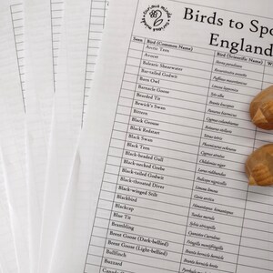 May include: A printed list titled "Birds to Spot in England" with a list of bird names and scientific names. Two wooden bird figurines rest on the paper. Several blank sheets of paper are on the left.