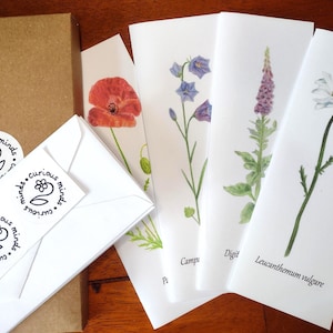 Biglietti di auguri con fiori selvatici britannici, arte con fiori estivi, biglietti di auguri vuoti sulla natura, regalo per gli amanti della natura, set regalo di cancelleria con fiori selvatici