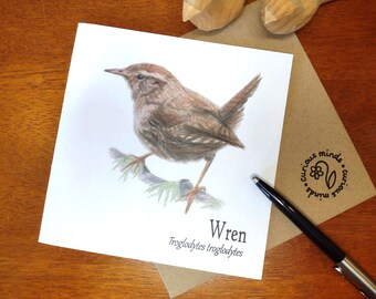 Zaunkönig Grußkarte: Umweltfreundliche Natur Notecard, Vogel Notelet