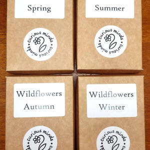 Wildflower Flashcards, British Wildflower Art, Nature Identification, Nature Education, Home Ed Resources, Wildflower ID cards