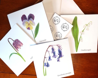 British Wildflower Notecard Set: Spring Floral Card Gift Set