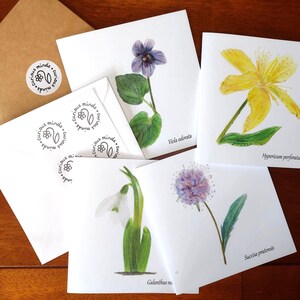 British Wildflowers Greeting Cards, Wildflower Stationery Gift Set, Nature Notecards, British Wildflower Art, Flower Notecard Set