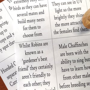 Garden bird cards, fact cards, forest school resources, home ed resources, nature resources, forest school printable, bird printable
