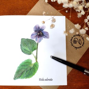 Carte violette douce, carte de voeux fleurs, fleurs d'hiver, carte nature dessinée à la main, carte pour correspondance nature, motif floral, carte fleurs sauvages