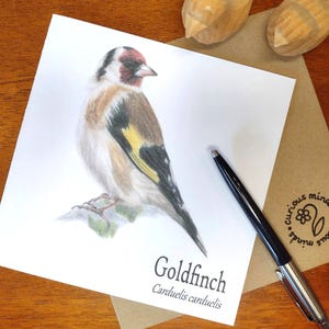 Stieglitz Geburtstagskarte, Stieglitz Karte, Vogel Karte, Vogel Karte, Vogel Karte, Karte, Vogel Karte, Vogel Karte, Karte, Karte, Vogel, Illustration
