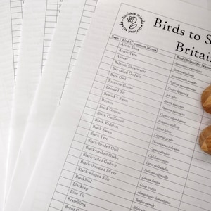May include: A printed list titled "Birds to Spot in Britain" with a detailed table of bird names and scientific classifications. Two wooden bird figurines rest on the page. Several blank white sheets are fanned out to the left.
