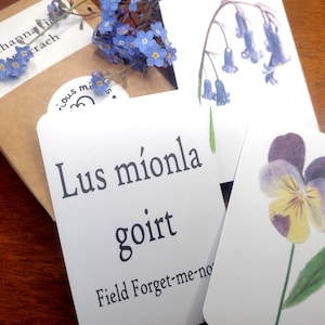 Cartes d'identité de fleurs sauvages, Cartes d'identité de fleurs sauvages, Cartes d'identité de fleurs sauvages, Cartes en langue irlandaise, Cartes d'identification de fleurs en irlandais, Cartes gaeilge
