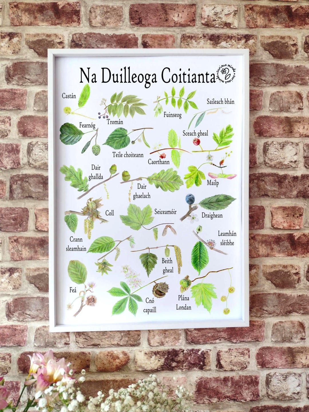 Irish Trees Poster: Gaeilge Language Print, Home Education Resource - Etsy