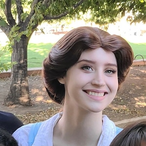 Village Belle Cosplay Wig (Parks Version)
