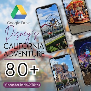DCA Videos for Instagram Reels & Tiktok Videos - Travel Agents, B Roll Footage