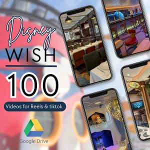 旅行代理店向けDC Wish Cruiseのソーシャルメディア動画（デジタルダウンロード）