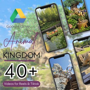 AK Videos for Instagram Reels & Tiktok Videos - WDW Travel Agent, B Roll Footage