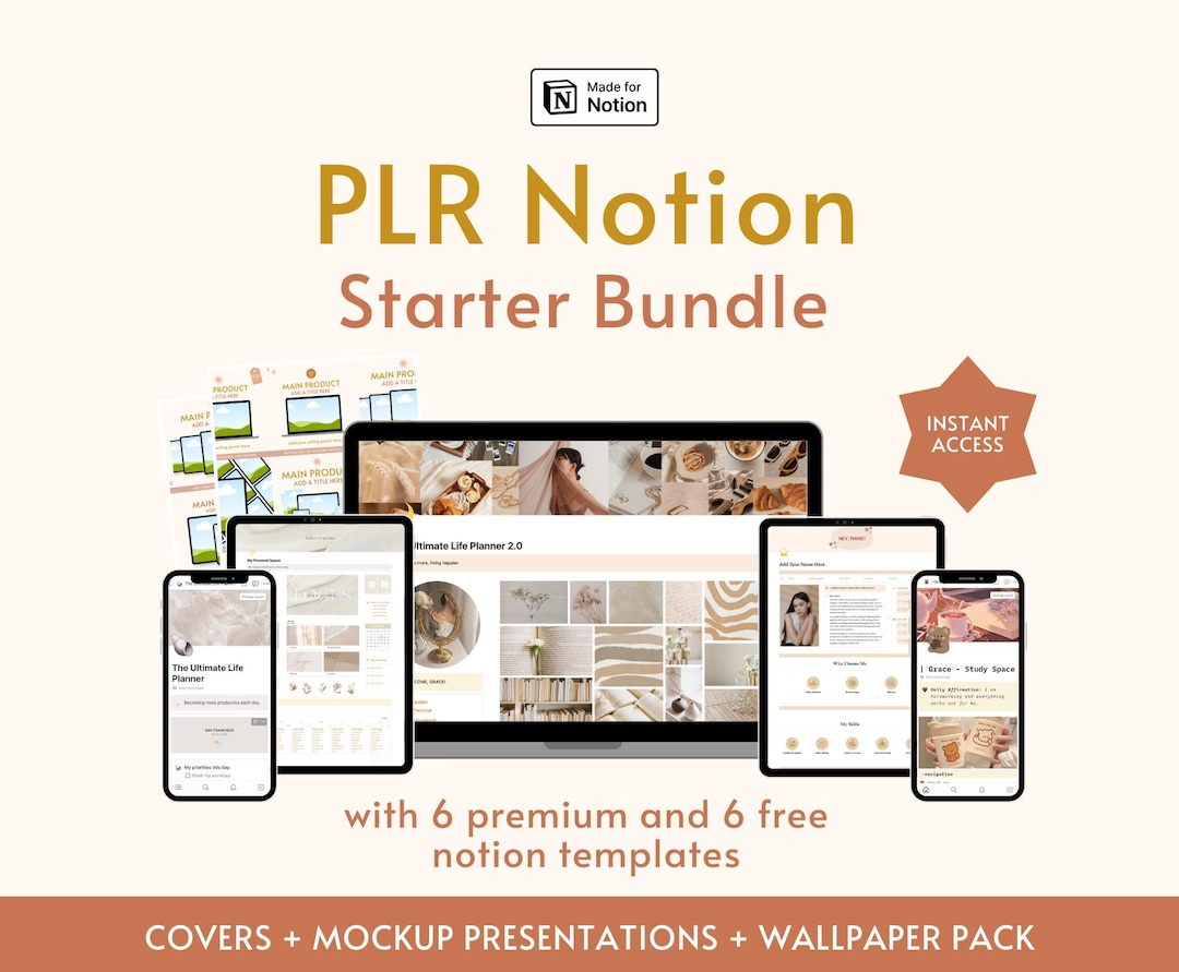 12 Aesthetic Notion Templates PLR Bundle Private Label Rights ...
