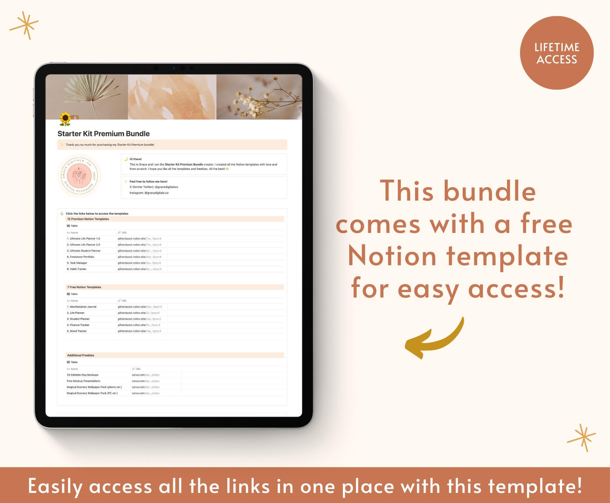 12 Aesthetic Notion Templates PLR Bundle Private Label Rights ...