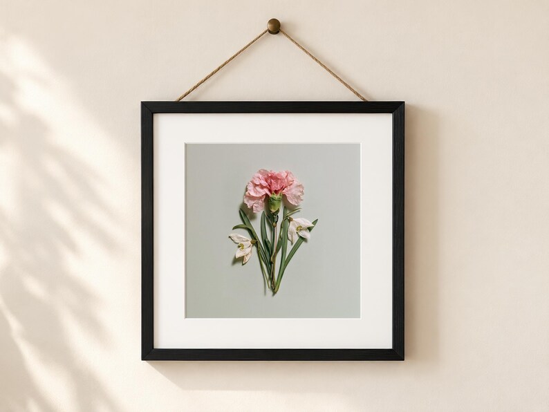 January Birth Flower Print, Pressed Carnation and Snowdrop Botanical ...
