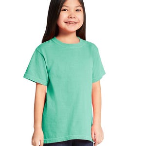 Comfort Colors blank t shirt unisex C1717 garment dyed tee soft cotton top vintage washed relaxed fit casual tee plain cotton shirt image 20