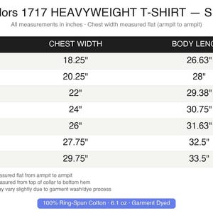 Comfort Colors blank t shirt unisex C1717 garment dyed tee soft cotton top vintage washed relaxed fit casual tee plain cotton shirt image 4